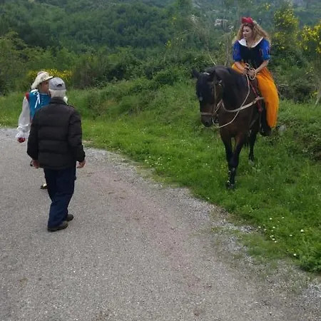 Le Del Pollino Bed & Breakfast