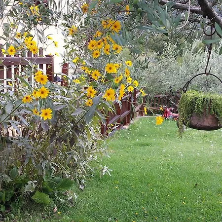 Le Del Pollino 로톤다