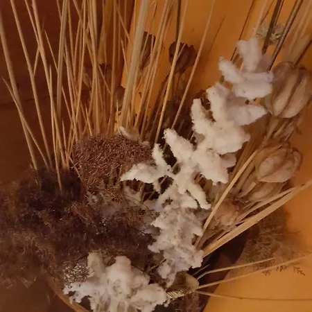 Le Del Pollino 3*