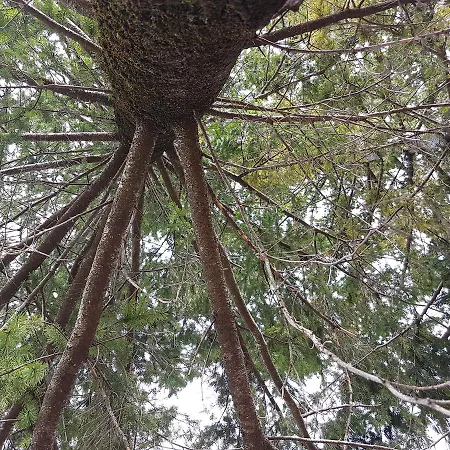 Le Del Pollino 3* Rotonda