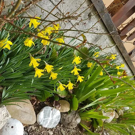 Le Del Pollino