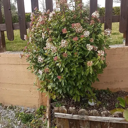 Le Del Pollino 3* Rotonda