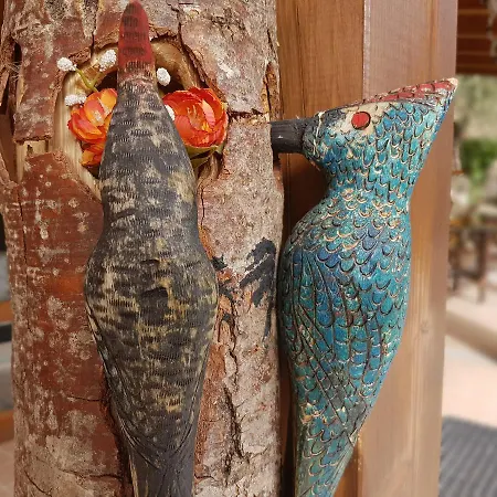 Bed & Breakfast Le Del Pollino Rotonda