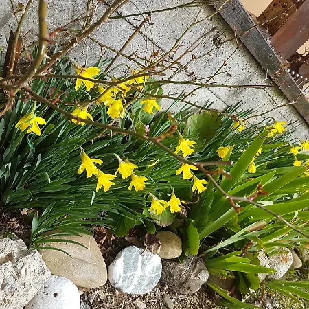 Bed & Breakfast Le Del Pollino